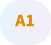 A1