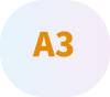 A3